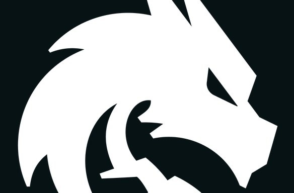 闪耀 Team Spirit战队贴纸 - 2023年TI_DOTA2饰品交易_网易BUFF
