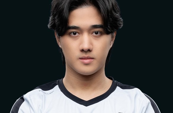 全息 Abed选手贴纸 - 2023年TI_DOTA2饰品交易_网易BUFF