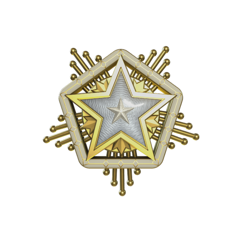 2025 Service Medal_CS2饰品交易_网易BUFF