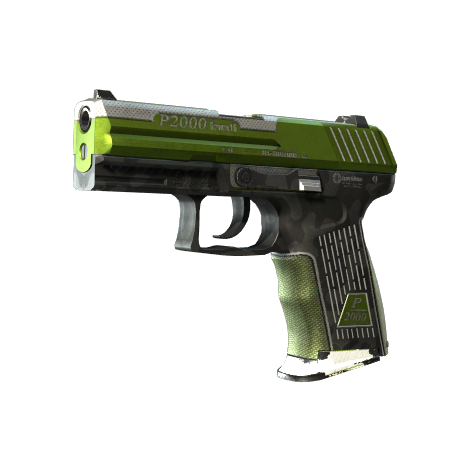 P2000（StatTrak™） | 草皮 (破损不堪)_CS2饰品交易_网易BUFF