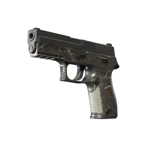 P250 | 随便玩玩 (战痕累累)_CS2饰品交易_网易BUFF