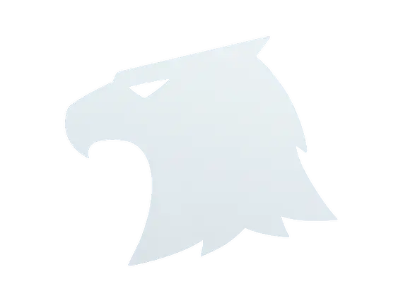 Raptors
