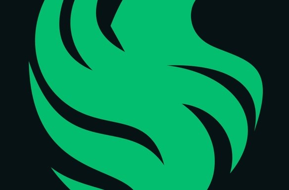 闪耀 Team Falcons战队贴纸 - 2025年TI冠军_DOTA2饰品交易_网易BUFF